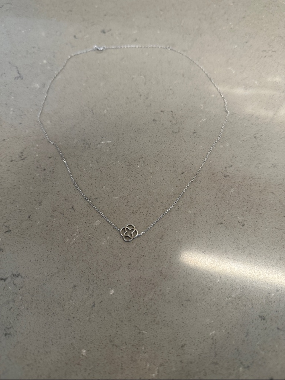 🔥 3/$10 BUNDLE DEAL! 🔥Evereve Silver Clover Outline Necklace